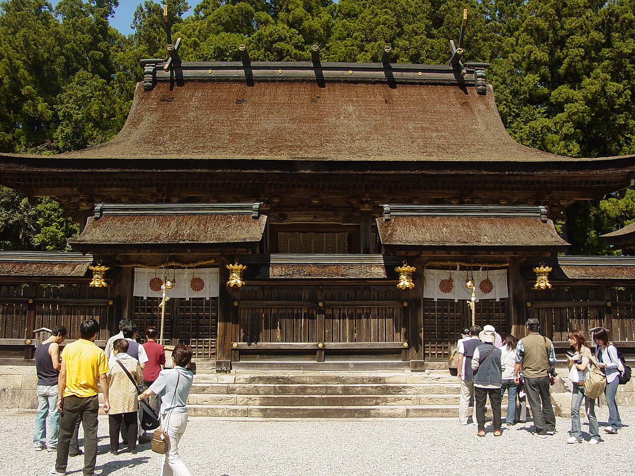 手を入れてきた森